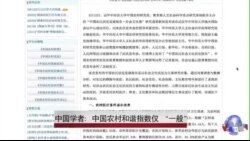 中国学者：中国农村和谐指数仅 “一般”