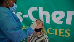 Omicron ကိုဗစ်မျိုးကွဲ အာရှ-ပစိဖိတ်မှာ အလျင်အမြန် ကူးစက်နေ Omicron ကိုဗစ်မျိုးကွဲ အာရှ-ပစိဖိတ်မှာ အလျင်အမြန် ကူးစက်နေ