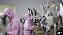 江苏省泗洪县一个芯片工厂的工人在生产线上。(2020年2月16日)