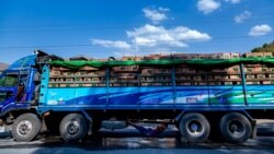 ကုန်ကားမောင်းနဲ့နောက်လိုက်များ ကိုဗစ်ကာကွယ်ရေး ကုန်ကားမောင်းနဲ့နောက်လိုက်များ ကိုဗစ်ကာကွယ်ရေး