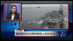 VOA连线:欧洲密切关注两岸领导人历史性会晤 VOA连线:欧洲密切关注两岸领导人历史性会晤