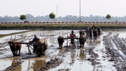 လယ်သမားဘဝမြင့်တင်ရေး ဒီမိုအစိုးရသစ် လုပ်နိုင်ပြီလား လယ်သမားဘဝမြင့်တင်ရေး ဒီမိုအစိုးရသစ် လုပ်နိုင်ပြီလား