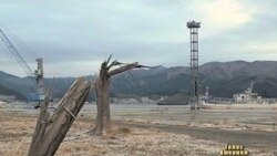 Японія чиститиме радіацію 30 років Японія чиститиме радіацію 30 років