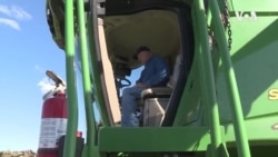 美农民盼美墨加贸易协定推动粮食出口 美农民盼美墨加贸易协定推动粮食出口