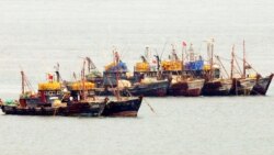 တရုတ် တရားမဝင် ငါးဖမ်းလှေ တောင်ကိုရီးယားကန့်ကွက် တရုတ် တရားမဝင် ငါးဖမ်းလှေ တောင်ကိုရီးယားကန့်ကွက်