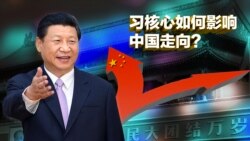 焦点对话: 回顾2016: 习核心确立,如何影响中国走向? 焦点对话: 回顾2016: 习核心确立,如何影响中国走向?