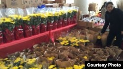 Hoa Tết tại trung tâm thương mại Grand Century, nơi mới xảy ra vụ hỏa hoạn sau màn bắn pháo hoa bất hợp pháp. (ảnh Bùi Văn Phú).