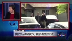 VOA连线:奥巴马讲话呼吁更多控枪立法 VOA连线:奥巴马讲话呼吁更多控枪立法