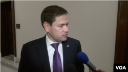 资料照片:美国参议员鲁比奥接受美国之音采访。(2019年11月14日)