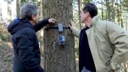 科学家们通过观察树木来监测地球的健康状况 科学家们通过观察树木来监测地球的健康状况