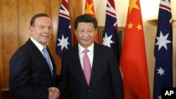 中国国家主席习近平与澳大利亚总理阿博特在堪培拉的澳大利亚议会大厦开始双边会晤前握手。(2014年11月17日)