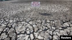 Đồng lúa bị hạn hán tại tỉnh Bạc Liêu, đồng bằng sông Cửu Long, Việt Nam, ngày 30/3/2016.