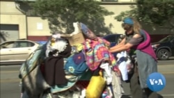 英语视频:特朗普:为流浪者找个家 英语视频:特朗普:为流浪者找个家