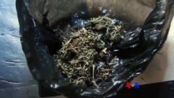 မူးယစ်ဆေးစွဲသူ ပြန်လည်ထူထောင်ရေး မူးယစ်ဆေးစွဲသူ ပြန်လည်ထူထောင်ရေး