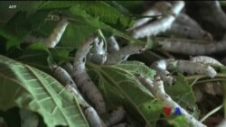 ဒီသီတင်းပတ် အာရှစီးပွားရေး ဒီသီတင်းပတ် အာရှစီးပွားရေး