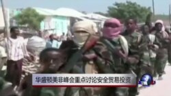 华盛顿美非峰会重点讨论安全贸易投资 华盛顿美非峰会重点讨论安全贸易投资