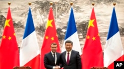 法国总统马克龙2018年1月9日会见中国国家主席习近平(美联社)