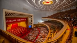 中共控制下的人大代表的产生与参政议政 中共控制下的人大代表的产生与参政议政