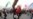 Protesters Scuffle With Men Outside China-Taiwan Meeting