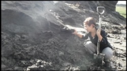 如何克隆猛犸:“去灭绝化”技术引争议 如何克隆猛犸:“去灭绝化”技术引争议