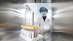 位于云南昆明的中国华大基因集团实验室的科技人员在工作。(2018年12月26日)