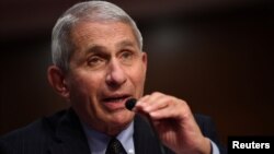 美国国立过敏与传染病研究院主任弗契在参议院卫生、教育、劳工和退休金委员会的听证会上作证。(2020年6月30日)