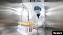 位于云南昆明的中国华大基因集团实验室的科技人员在工作。(2018年12月26日)