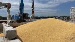 ယူကရိန်းကောက်နှံတင်ပို့မှုသဘောတူညီချက်ပြန်ရဖို့ ရုရှားကို ကုလအကြီးအကဲမေတ္တာရပ်ခံ  ယူကရိန်းကောက်နှံတင်ပို့မှုသဘောတူညီချက်ပြန်ရဖို့ ရုရှားကို ကုလအကြီးအကဲမေတ္တာရပ်ခံ