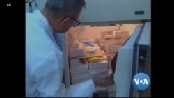 မြန်မာနိုင်ငံ HIV ကူးစက်မှုနှုန်းကျဆင်း မြန်မာနိုင်ငံ HIV ကူးစက်မှုနှုန်းကျဆင်း