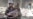Syrian Truce in Tatters Amid Government Airstrikes, Messy Battles