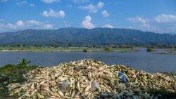 နယ်စပ်ကုန်သွယ်ရေး မမျှတမှုကိစ္စ ရှမ်းပြည်နယ်အစိုးရနဲ့ ယူနန်အာဏာပိုင်တို့ မကြာခင်ဆွေးနွေးမည် နယ်စပ်ကုန်သွယ်ရေး မမျှတမှုကိစ္စ ရှမ်းပြည်နယ်အစိုးရနဲ့ ယူနန်အာဏာပိုင်တို့ မကြာခင်ဆွေးနွေးမည်