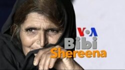 بي بي شیرینه – وي او اې ډيوه په ټیلې ویژن بي بي شیرینه – وي او اې ډيوه په ټیلې ویژن