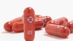 Merck ကုမ္ပဏီထုတ် ကိုဗစ်ကုသဆေး မြန်မာနိုင်ငံမှာ ထုတ်လုပ်ရောင်းချ Merck ကုမ္ပဏီထုတ် ကိုဗစ်ကုသဆေး မြန်မာနိုင်ငံမှာ ထုတ်လုပ်ရောင်းချ