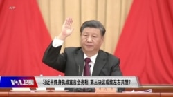 时事大家谈:习近平终身执政宣言全亮相,第三决议或致左右共愤? 时事大家谈:习近平终身执政宣言全亮相,第三决议或致左右共愤?