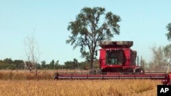 南达科他州的一个农户在收割大豆(资料图)