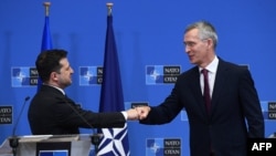 北约组织秘书长斯托尔滕伯格(右)会晤乌克兰总统泽连斯基。