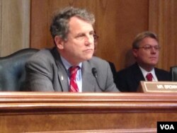 布朗参议员(美国之音 莉雅拍摄)