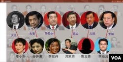 巴拿马文件透露,中国有些高官的亲戚有离岸帐户,图片显示了一部分(头像来自网络,美国之音合成)