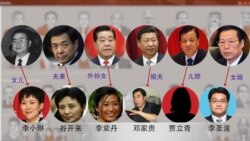 巴拿马文件透露,中国有些高官的亲戚有离岸帐户,图片显示了一部分(头像来自网络,美国之音合成)