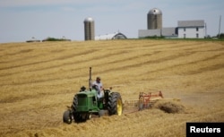 美国伊利诺伊州一位农民在他的农场里劳作。(2018年7月25日)
