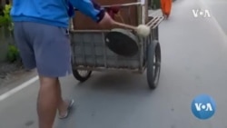 ထိုင်းဘုန်းကြီးတွေ ဦးဆောင်တဲ့ သဘာဝပတ်ဝန်းကျင် ထိန်းသိမ်းရေး လှုပ်ရှားမှု ထိုင်းဘုန်းကြီးတွေ ဦးဆောင်တဲ့ သဘာဝပတ်ဝန်းကျင် ထိန်းသိမ်းရေး လှုပ်ရှားမှု