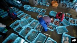 中共对外联络部部长刘建超将访日,预计讨论福岛核处理水及日本水产品进口等相关问题。