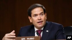 资料照片:美国参议员鲁比奥(Marco Rubio)2020年5月5日在参院情报委员会举行的听证会上发言。
