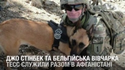 Американський військовий став господарем собаки, з якою служив в Афганістані. Відео Американський військовий став господарем собаки, з якою служив в Афганістані. Відео