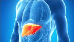 Thuốc chữa Viêm Gan C (Hepatitis C) Thuốc chữa Viêm Gan C (Hepatitis C)