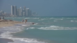 有人愿辞高薪工作在佛州海滩捡垃圾却甘之如饴