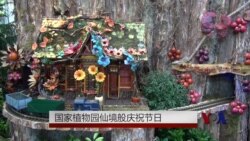 国家植物园仙境般庆祝节日