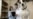 16x9 Image