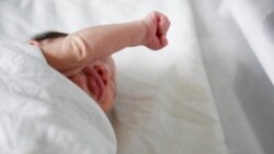 အမေရိကန်တွေ မွေးဖွားနှုန်း ကျဆင်း အမေရိကန်တွေ မွေးဖွားနှုန်း ကျဆင်း