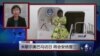 VOA连线：米歇尔奥巴马访日，将会安倍晋三